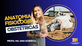 ANATOMIA E FISIOLOGIA OBSTÉTRICAS DOS ANIMAIS DOMÉSTICOS [upl. by Sualk450]