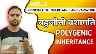 Polygenic Inheritance  Principles of Inheritance and Variation  Class 12 202425 [upl. by Janie]