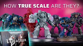 Ultimate Leviathan TERMINATORS scale comparison with 20 models new40k [upl. by Ernst]