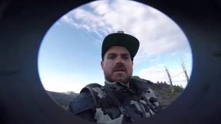 GoPro on a Swarovski Spotting Scope  Phone Skope [upl. by Ruhnke]