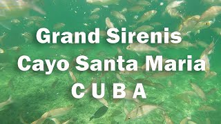 Grand Sirenis Cayo Santa Maria part 2 [upl. by Andree839]