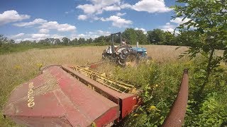 Mowing with New Holland 474 Haybine [upl. by Rosa808]