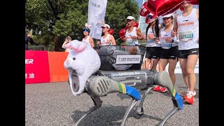 I Raced a Robot in a Marathon [upl. by Egief]