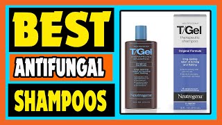 Antifungal Shampoos Top 5 Best Antifungal Shampoos Review [upl. by Harimas138]