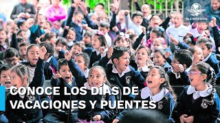 Así quedaría el calendario escolar 20242025 de la SEP [upl. by Elocn]