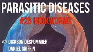 Parasitic Diseases Lectures 25 Hookworms [upl. by Vergil]