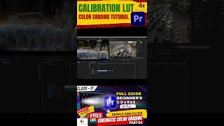 Master Calibration LUTs in Premiere Pro in 60 Seconds 🎨✨ [upl. by Herahab]