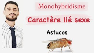 Monohybridisme  caractère lié au sexe  astuces avec prof faress [upl. by Navert]