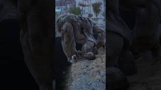 The Grafton Monster in Fallout 76 is Sad fallout fallout4 fyp shorts gaming fallout76 [upl. by Robinetta]