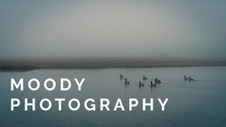 HOW TO TAKE MOODY PHOTOS  Photography Tutorial [upl. by Anyzratak]