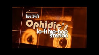 🧊Ophidics🧊 LoFi HipHop Station 🔴Live 247 [upl. by Hcone126]