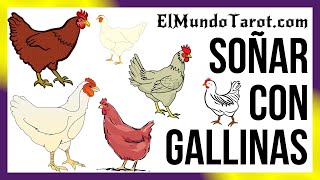 Soñar con Gallinas 🐔【¿Qué significados tiene】 [upl. by Leamhsi156]