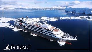 World Leader of Luxury Expeditions Aboard Yacht Like Small Ships  PONANT [upl. by Aitropal]