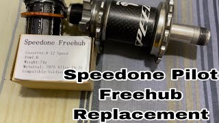 Paano pag palit ng Speedone Pilot Soldier freehub Speedone freehub Replacement [upl. by Ardnoyek595]