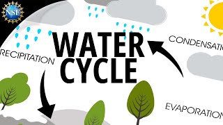 Water Cycle  How the Hydrologic Cycle Works [upl. by Croner]