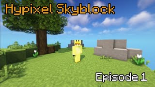 A New Beginning  Hypixel Skyblock Ep1 [upl. by Ibloc]