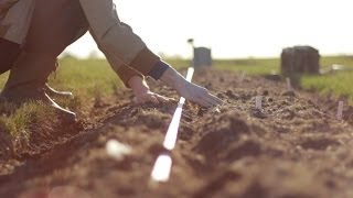 Start with Seeds  Gardening with The Gray Boxwood [upl. by Myrlene]