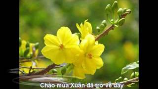 Chào Mùa Xuân Sáng tác Sonny Phan [upl. by Ynoep]