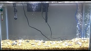 Nates New AquaCulture 29 Gallon Tank Kit Set Up [upl. by Giorgi595]