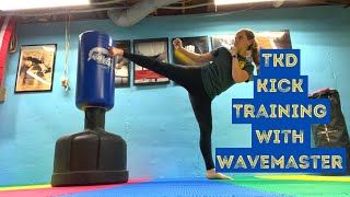 Taekwondo Kick Training with Wavemaster [upl. by Subocaj]