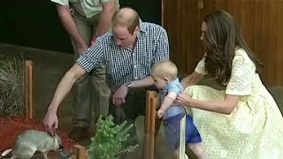 Prince George meets his bilby namesake at zoo [upl. by Alyam]