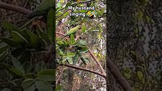 My husband song🤣😂funny youtube tending reels  bird nature gifts [upl. by Diad]