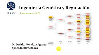 Termograma de PCR Mutagénesis [upl. by Aielam504]