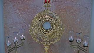 Adorecast – 247 Live Eucharistic Adoration [upl. by Ileyan]