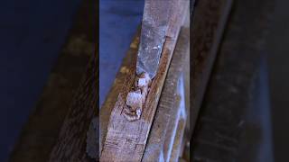 Quick Guide to Perfect Woodcuts Every Time woodcurving wood diywoodworking [upl. by Artcele397]