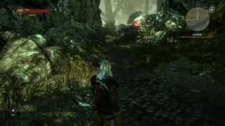 The witcher 2 végigjátszás  8 rész Kayran nyálka homályvirág Gerald vagy valaki béna [upl. by Monte]