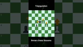 End game tactic I Triangulation chess learnchesstactics chessstrategies [upl. by Uzzia]