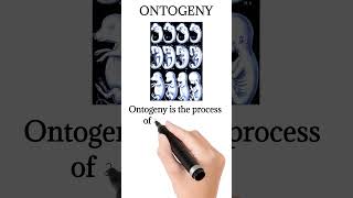 What is ontogeny [upl. by Etterraj219]