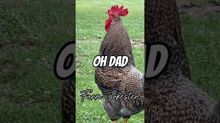 Happy Father’s DayDad where are you Come get your roosterSend this to a Daddad fathersday [upl. by Beutler]