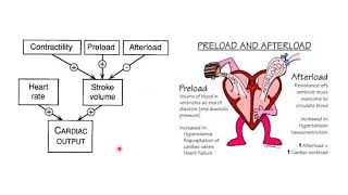 1 Basics of intravenous fluid therapy Intro amp Importance of IV fluids [upl. by Wendel]