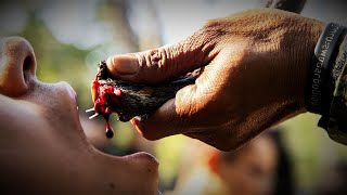 PARA SPECIAL FORCES Snake Eating Training  INDIAN ARMY [upl. by Melborn]