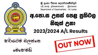 How to Watch AL Exam Results 2024  20232024 AL exam results out  2024 Al results  SL Academy [upl. by Misty]