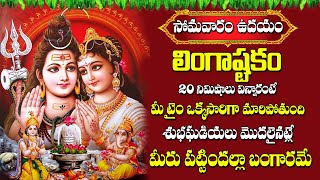 Live  LINGASHTAKAM  LORD SHIVA POPULAR STOTRAS  LORD SHIVA SONGS  Vahini Daily [upl. by Aynahs]