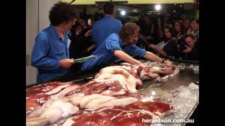 Giant squid dissection 2008 [upl. by Dyche]