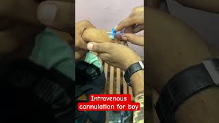 Intravenous cannulation  cannula trending shorts hospital doctor SMpharmacy plz follow [upl. by Meedan]