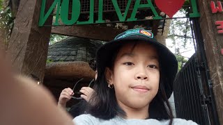 Going to Avilon zoo 🐘🐼🐯 vlogger zoo youtuber [upl. by Earazed]