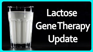 Am I still lactose tolerant  Lactose Gene Therapy Update [upl. by Nevins]