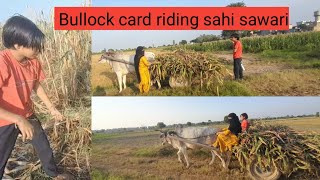 Women Bullock cart Riding village life routine workbailgadi ki Sawari Desi lifestyle routine [upl. by Eillim]