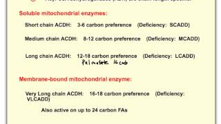 Beta Oxidation of Fatty Acids [upl. by Bocock]