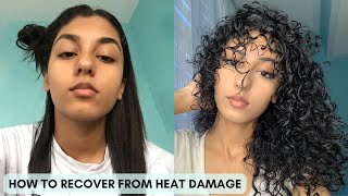 HOW TO GET YOUR CURLS BACK  Ultimate Heat Damage Repair Guide [upl. by Alyad37]