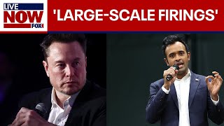 Musk amp Ramaswamy float ending remote work for federal employees  LiveNOW from FOX [upl. by Corie879]