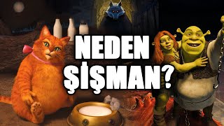 Shrek Teorisi Kedi Neden Emekli Oldu [upl. by Aneroc169]