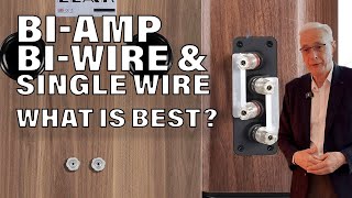 Biamp biwire or single wire What is the difference and what is best with Peter Comaeu [upl. by Jollanta]