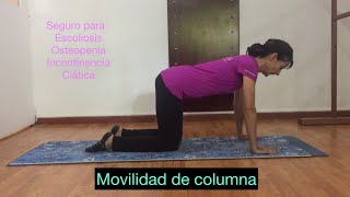 Movilidad de Columna [upl. by Calandria]