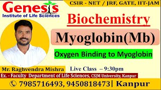 Myoglobin  Biochemistry  New online quotBatchquot for CSIR NETJRF  IITJAM [upl. by Drannel509]