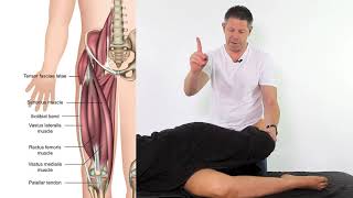 Iliotibial Band  Treatment  Assessment  Soft Tissue Therapy [upl. by Atolrac]